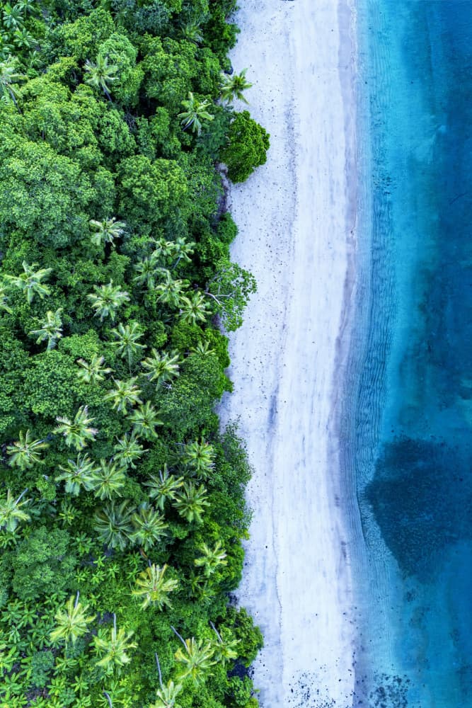 Lush Tropical Beach Aerial by Serge Melesan — canvas wall art