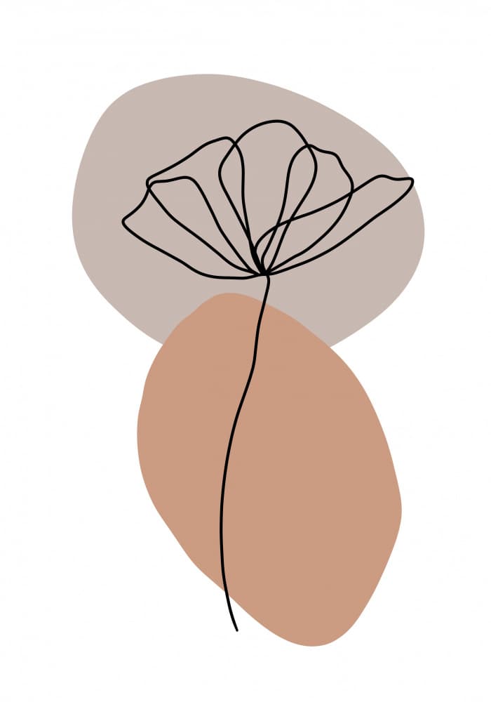 Minimalist Floral Line Art by Veronika Boulová — canvas wall art