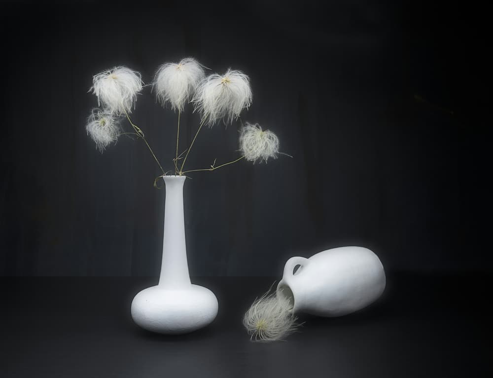 White on black. by Pedro Uranga — canvas wall art