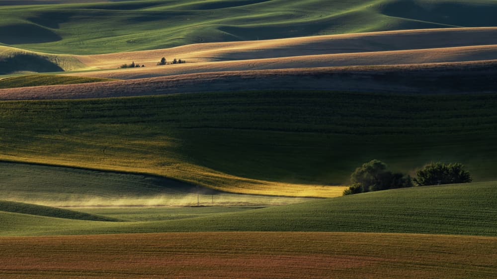 Rolling Green Hills by Chuan Chen APA — canvas wall art