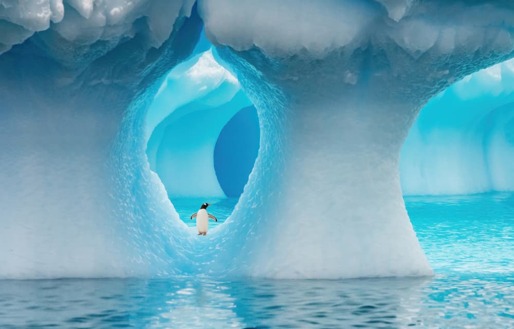 Penguin Through Blue Ice Arch by Jimmy Yang — canvas wall art