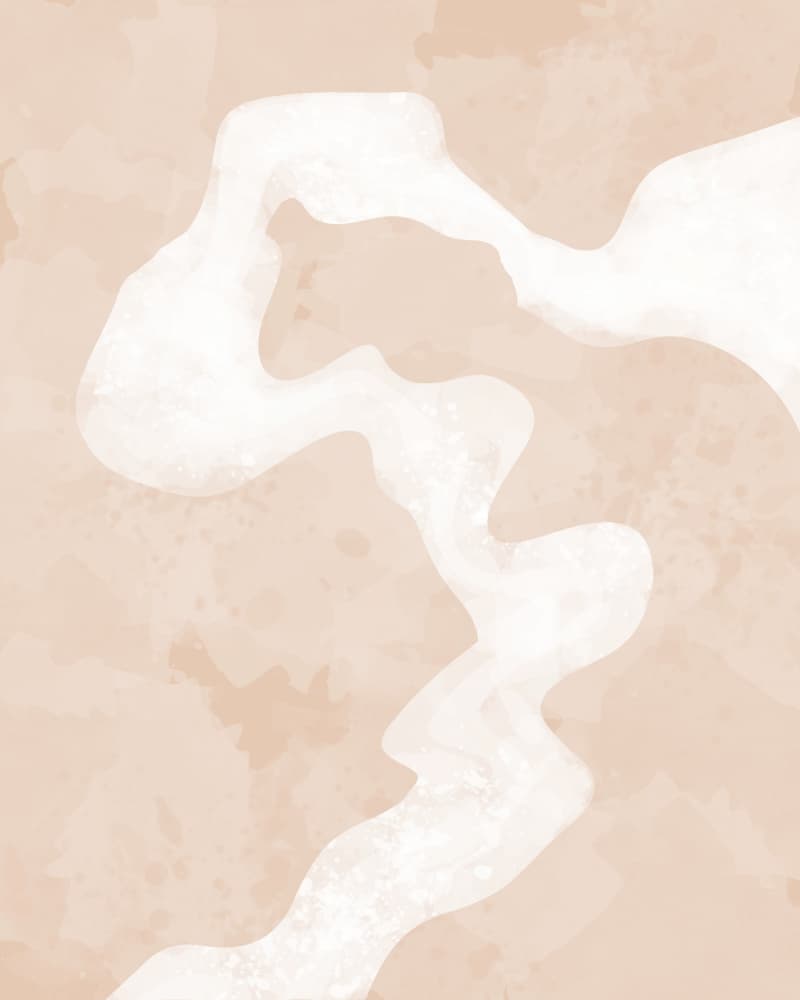 Soft Organic Flow by Sannel Larson — canvas wall art