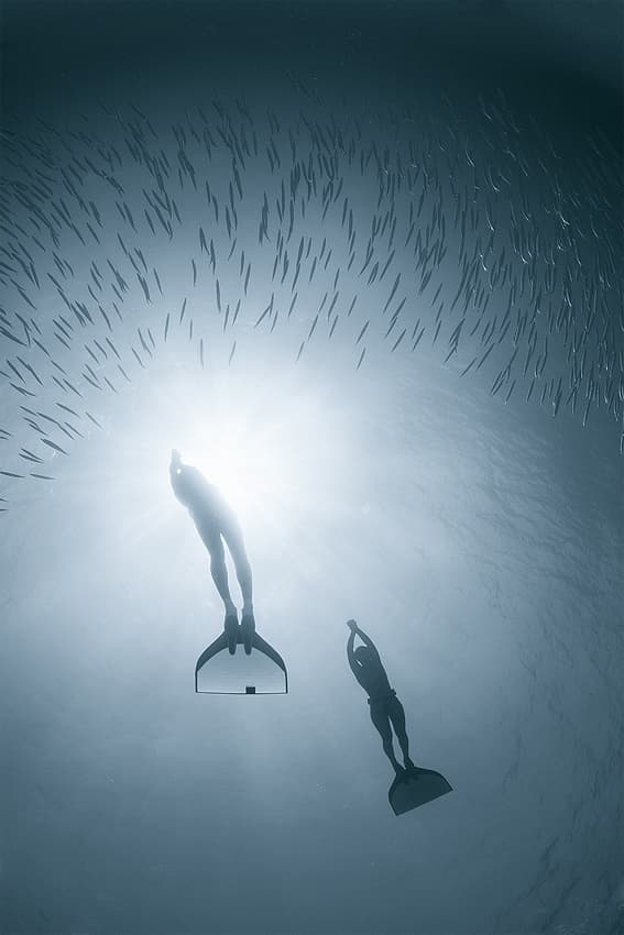 Sunlit Ocean Freedivers by Andrey Narchuk — canvas wall art