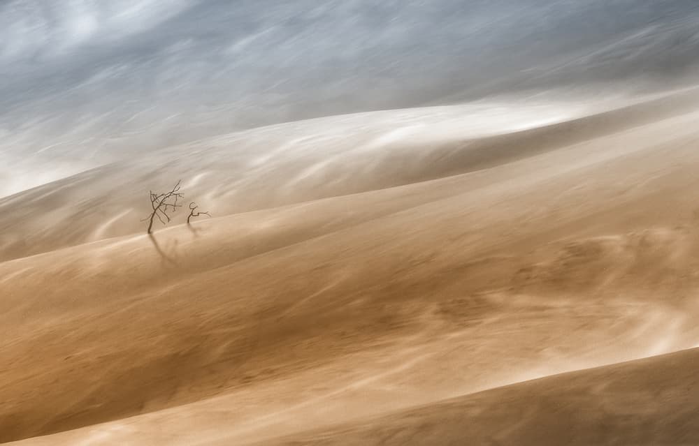 Windswept Desert Dunes by Uschi Hermann — canvas wall art
