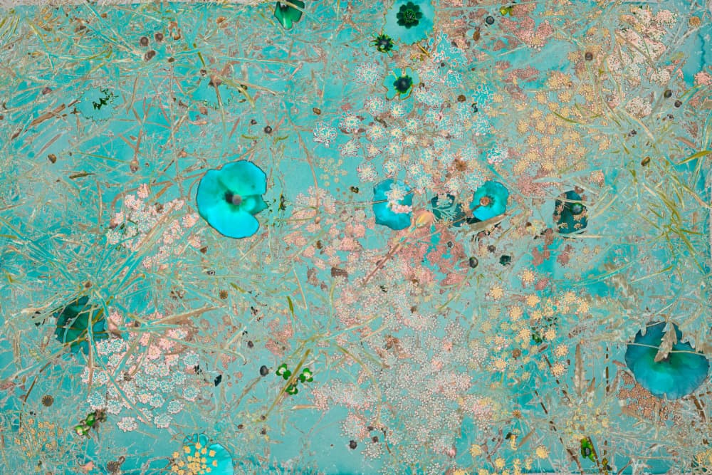 Floating Water Garden by Miriam Stayte — canvas wall art