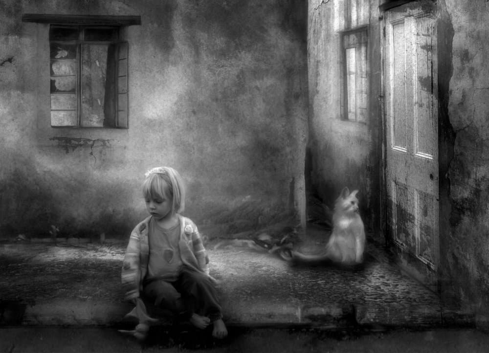 Lonely Girl White Cat by Charlaine Gerber — canvas wall art