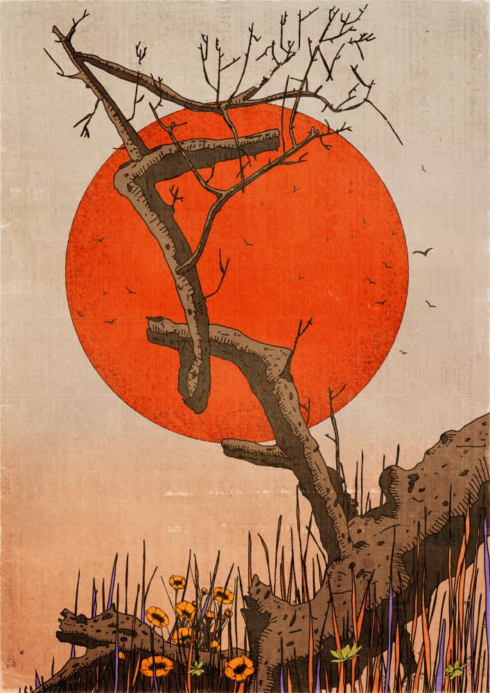 Twisted Tree Sunset by Nicholas — canvas wall art