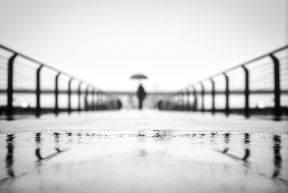 Rainy Path Reflection by Adam Dauria ☂ — canvas wall art
