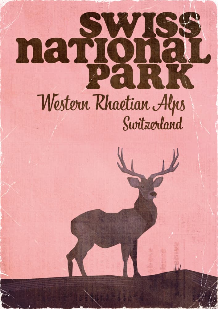 Majestic Swiss Stag by Nicholas — canvas wall art