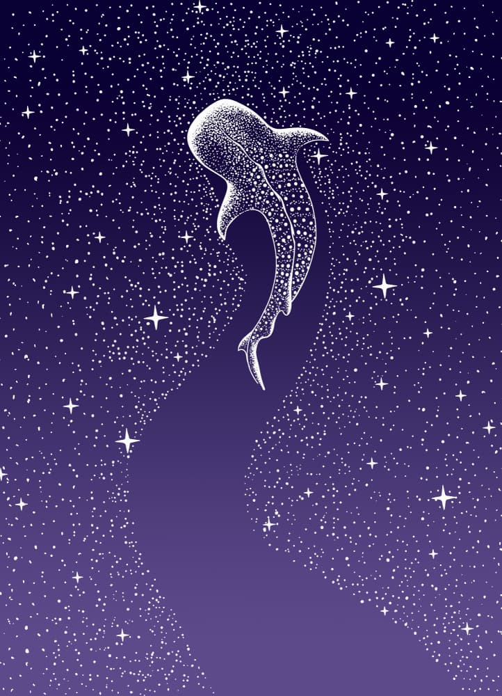 Whale Shark Galaxy Swim by Alirıza ÇAKIR — canvas wall art