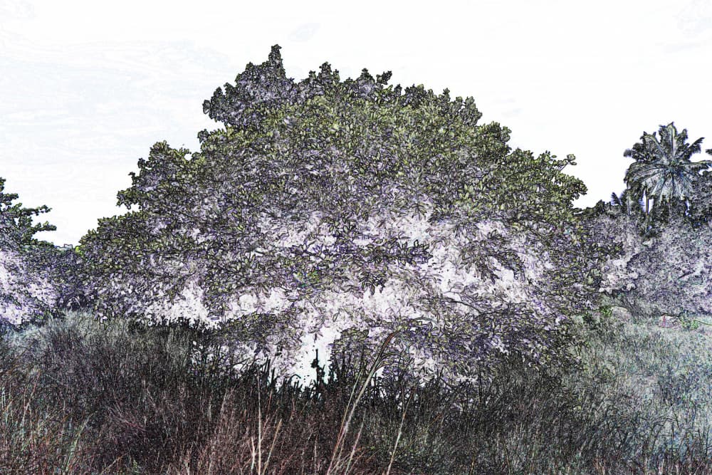 Textured Green Tree by Santhosh ch — canvas wall art