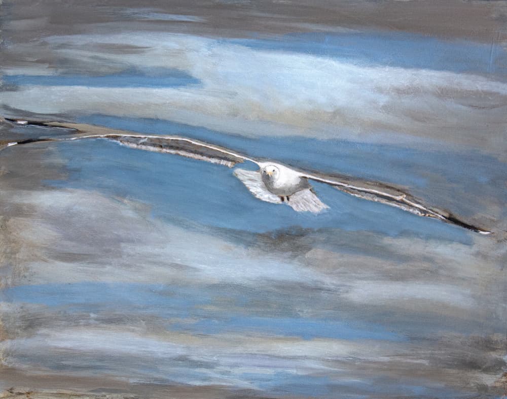 Serene Seagull Flight by Claire Lerner — canvas wall art
