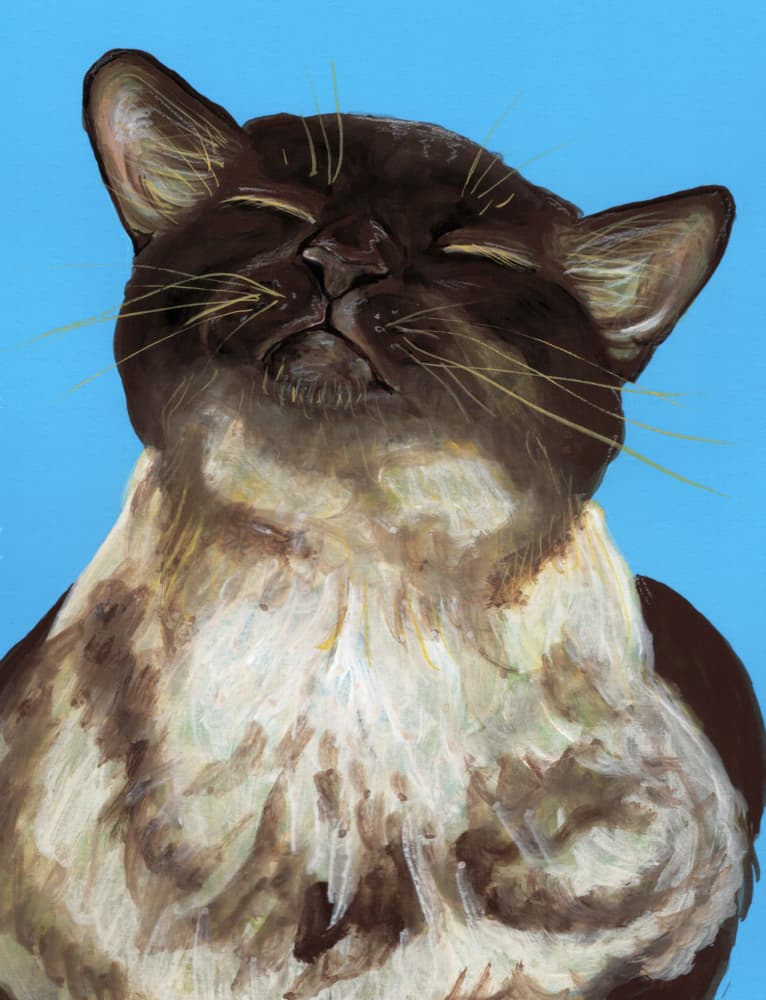 Blissful Brown Cat by Renee Machan Cottagecore Artist — canvas wall art