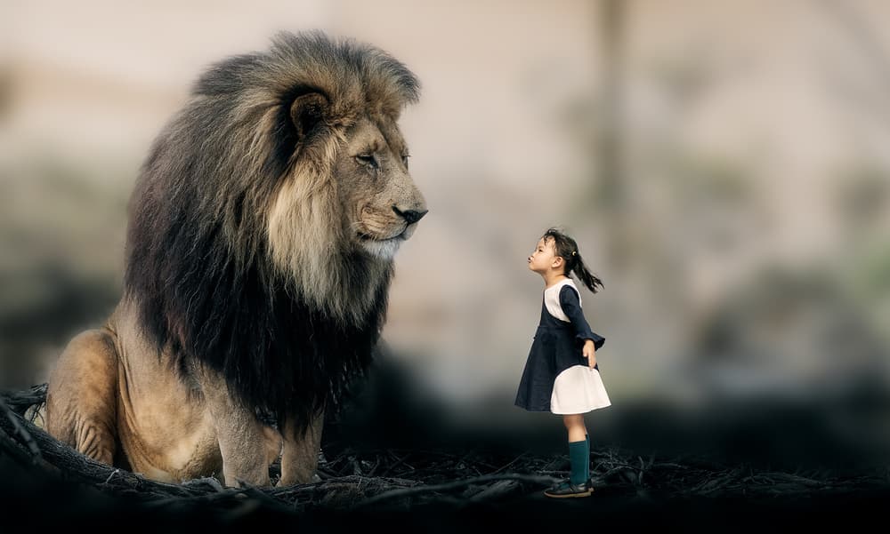 Girl Meets Majestic Lion by Bingo Z — canvas wall art