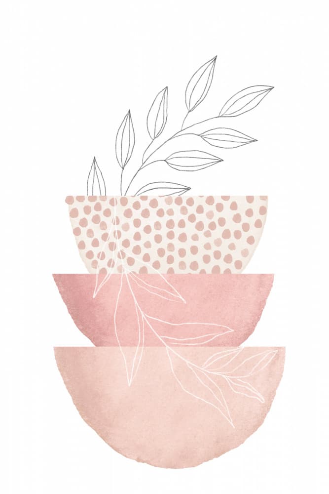 Blush Organic Bowls Plant by Sally Ann Moss — canvas wall art