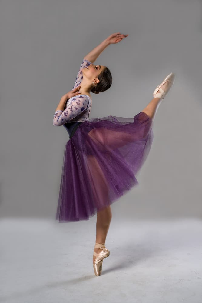 Elegant Ballet Arabesque by Aneta Nikolova — canvas wall art