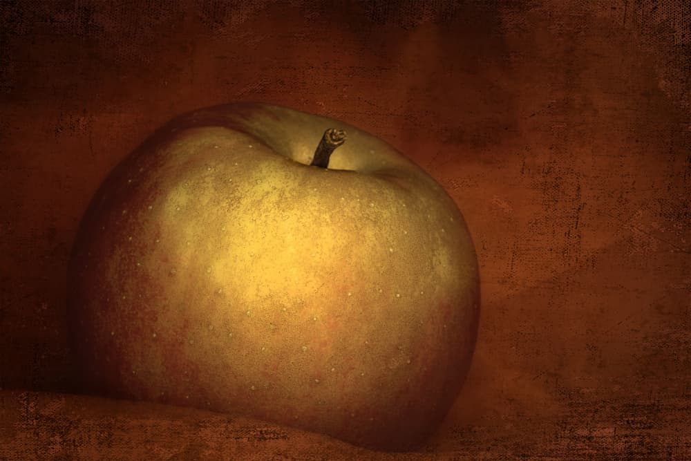 Moody Golden Apple by Marie-anne Stas — canvas wall art