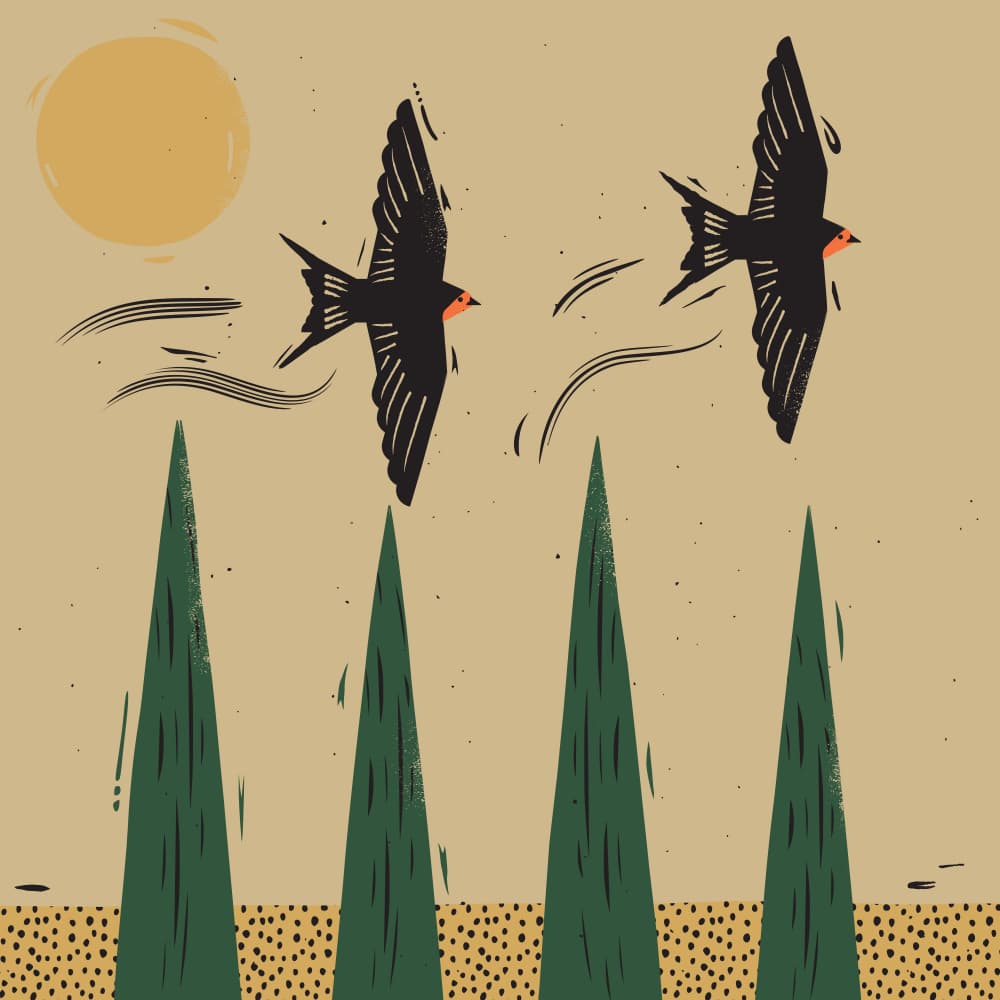 Swallows Over Cypress Trees by The Creating Mind — canvas wall art