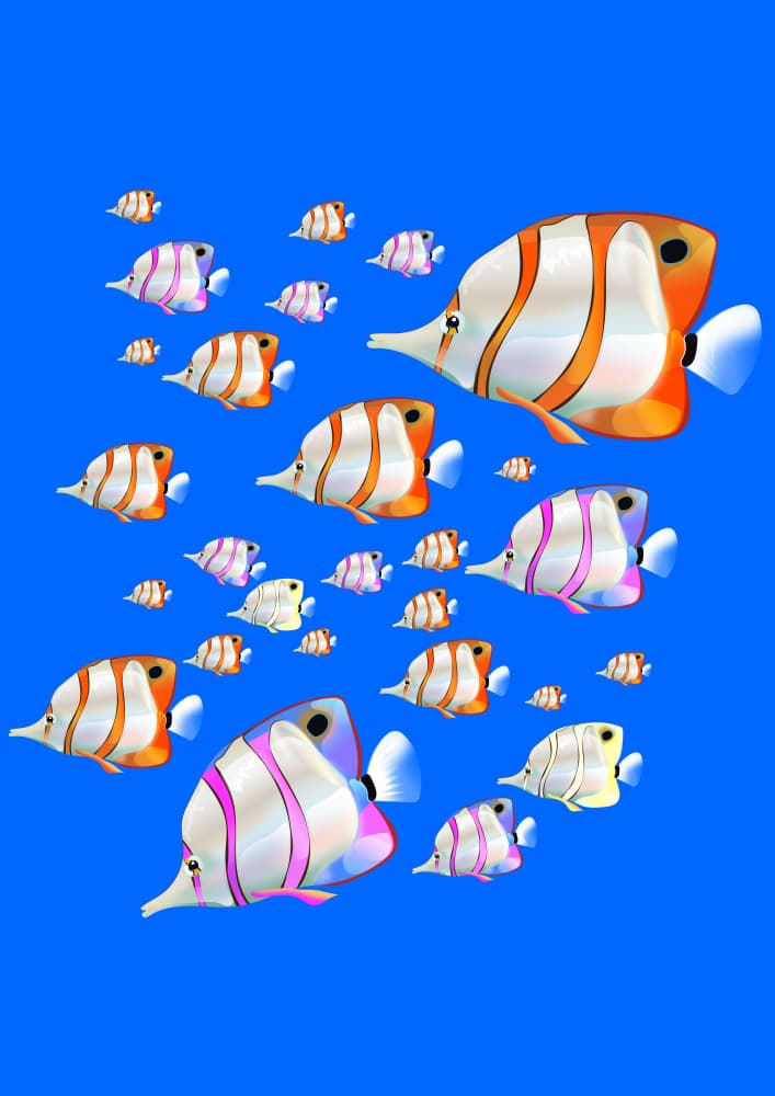 Colorful Butterflyfish School by Nicholas — canvas wall art