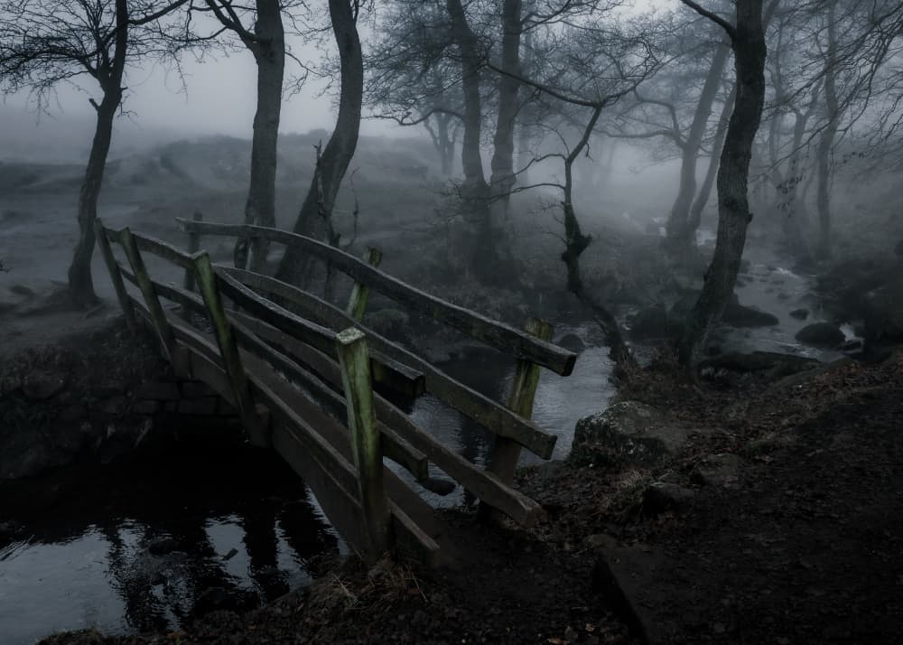 Misty Forest Bridge by Francis Wilson — canvas wall art