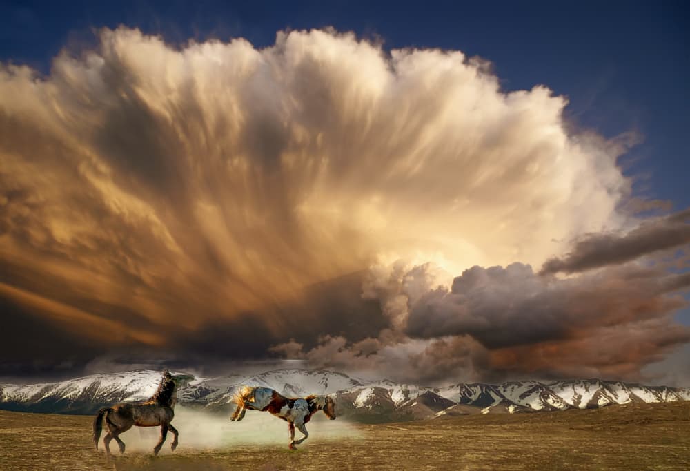 Wild Horses Golden Storm Clouds by Barbara A. Fletcher — canvas wall art