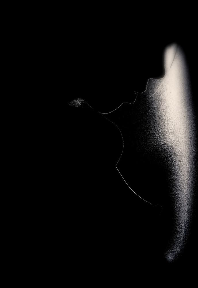 Graceful Profile In Light by DAVID MINSTER — canvas wall art