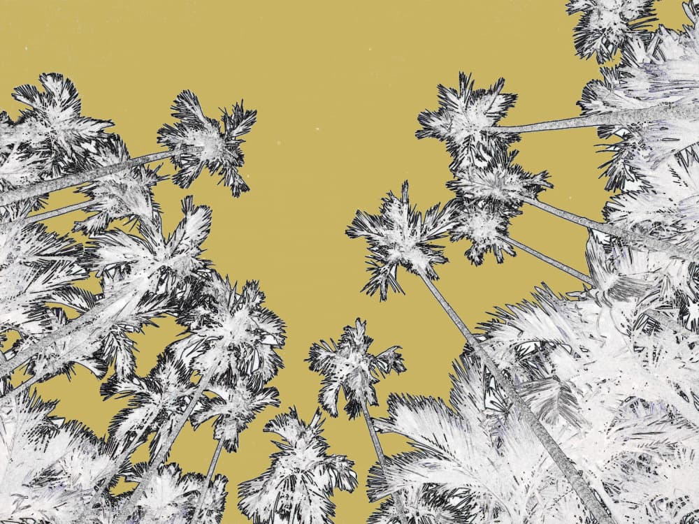 Golden Tropical Palms by Santhosh ch — canvas wall art