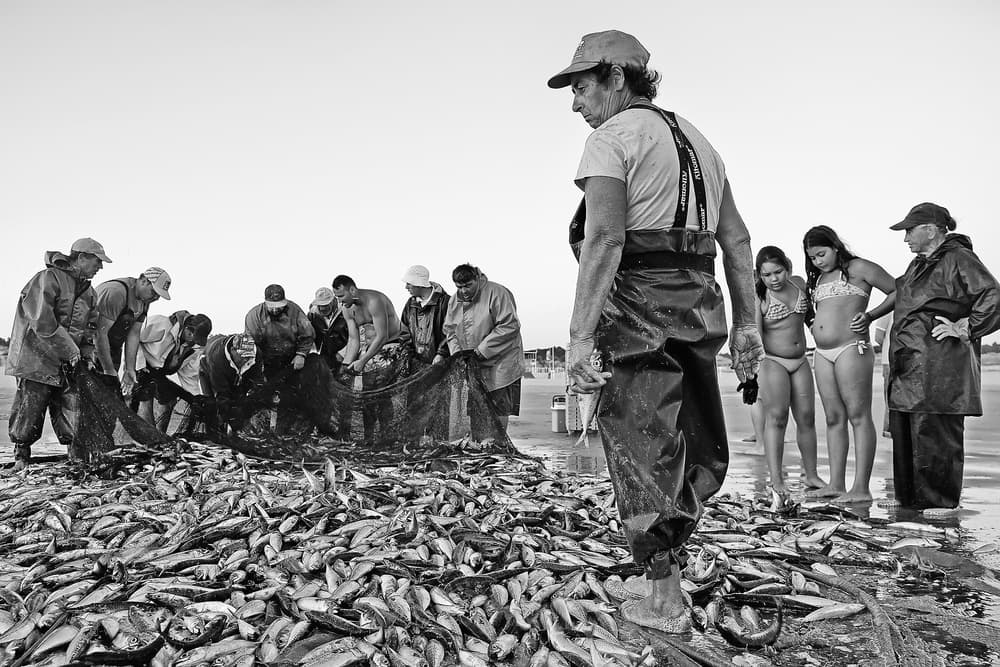 Fishermen's Daily Catch by Josefina Melo — canvas wall art