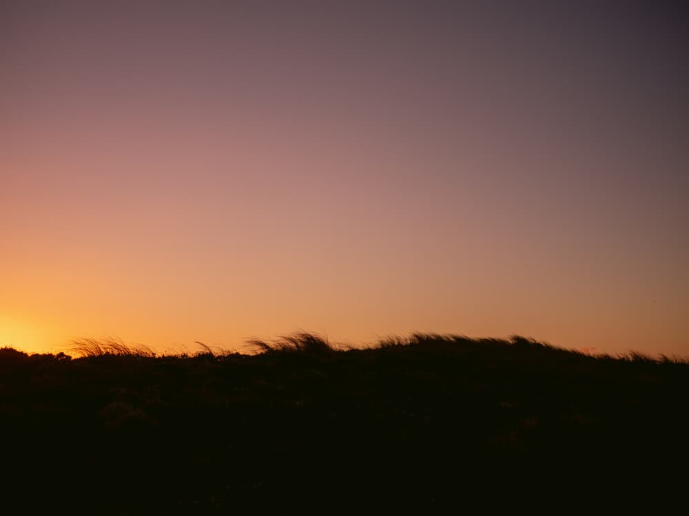 Dune Grass Sunset Horizontal by Raisa Zwart — canvas wall art