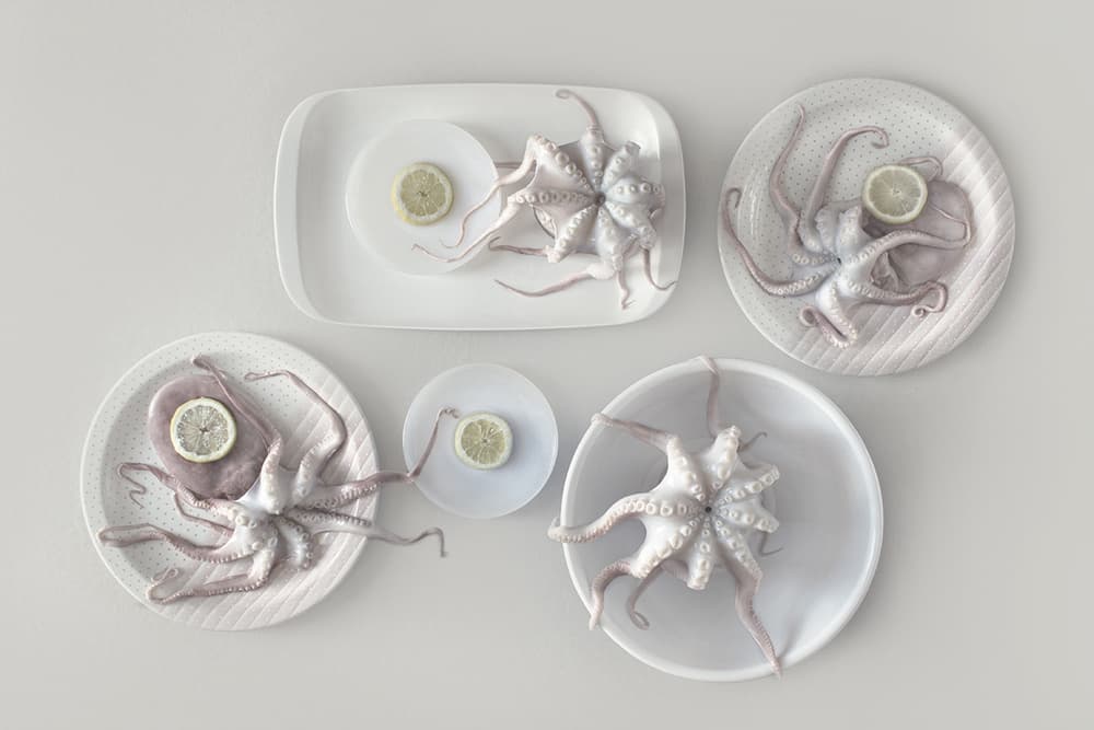 Octopus and Lemon Plates by Dimitar Lazarov - Dim — canvas wall art