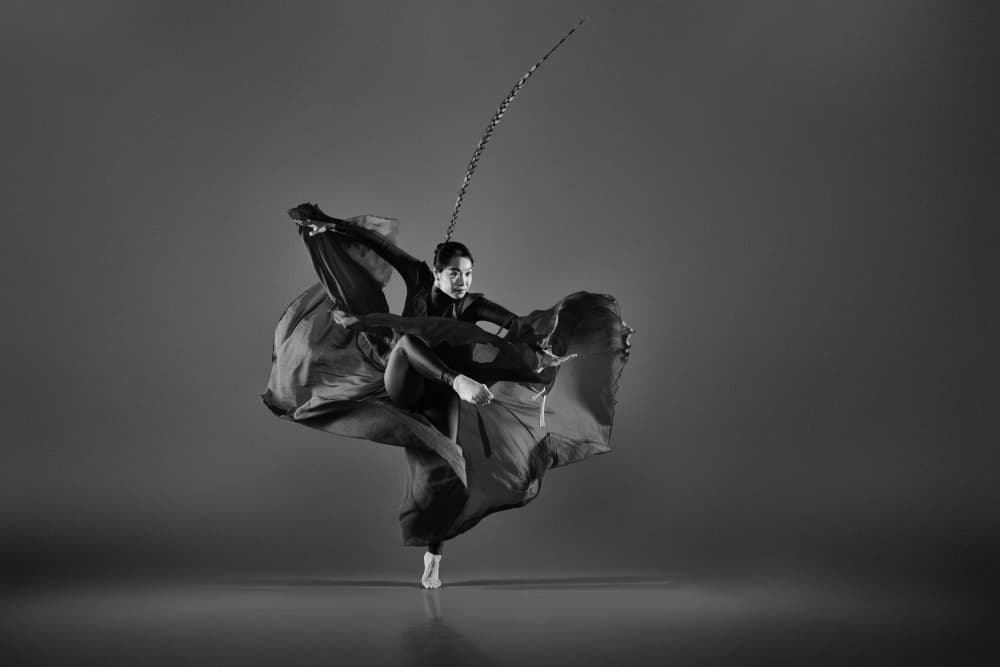 Dramatic Flowing Dance by Rob Li — canvas wall art