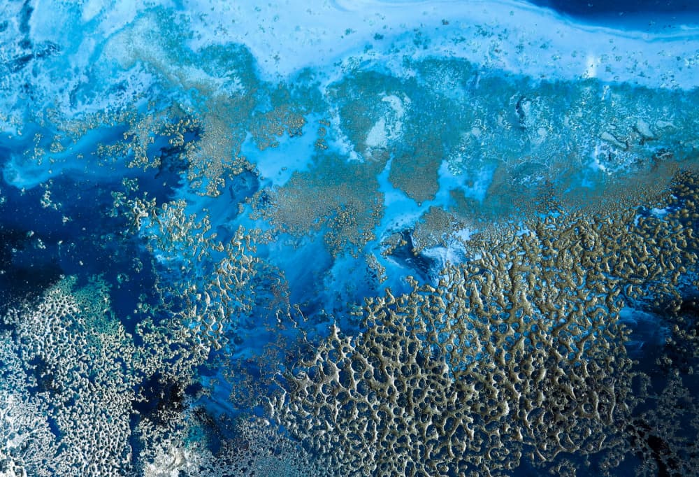 Coastal art - Revitalize by Petra Meikle de Vlas — canvas wall art