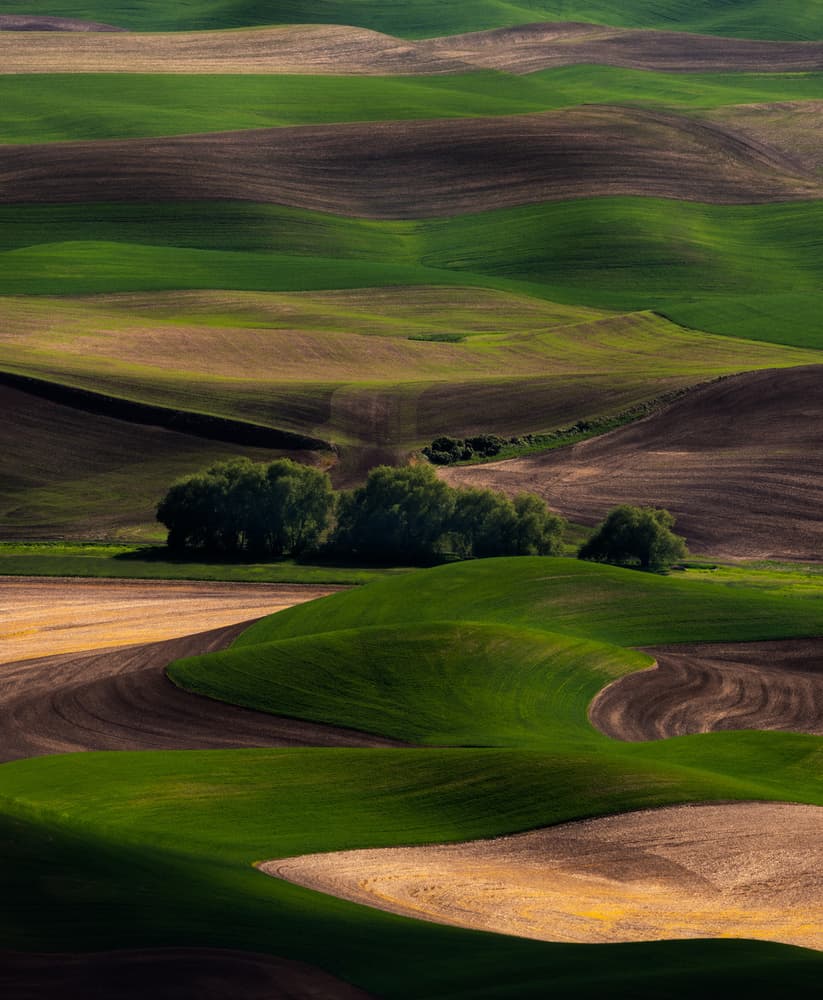 Rolling Green Fields by Ron Langager — canvas wall art