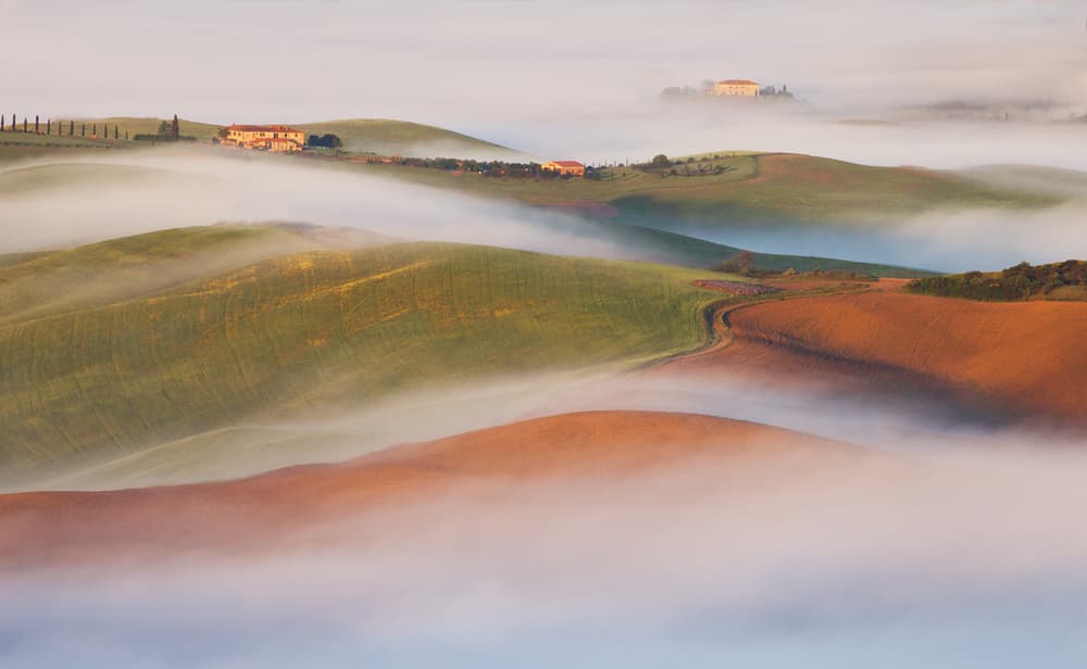 Morning Foggy Hills by Peter Svoboda MQEP — canvas wall art