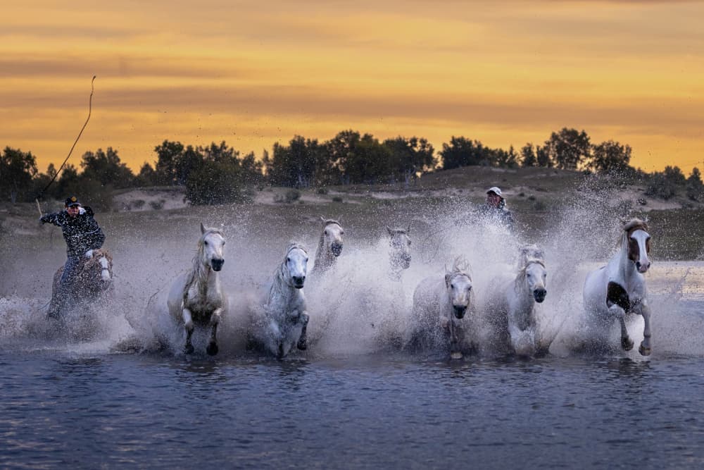 Galloping White Horses by Sally Widjaja — canvas wall art