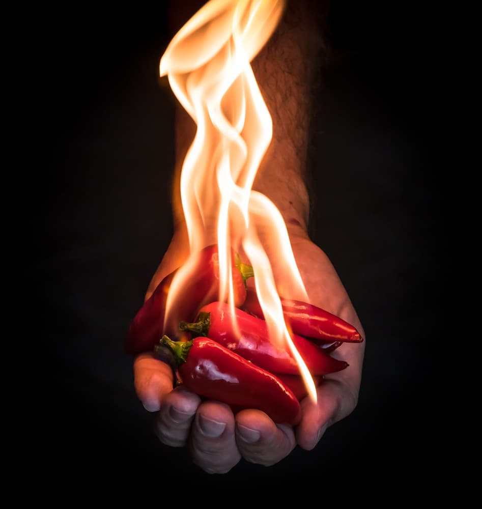 Fiery Chili Hand by Mike Melnotte — canvas wall art
