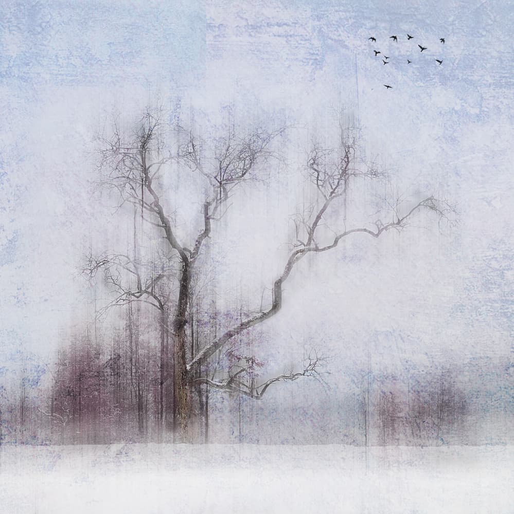 Ethereal Winter Tree by Marchevca Bogdan — canvas wall art