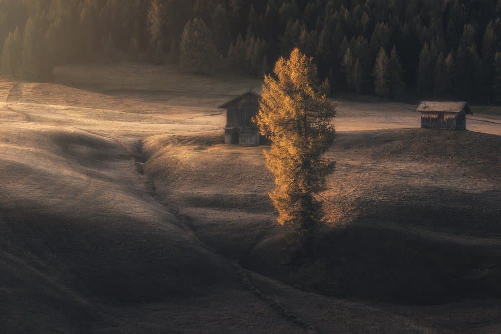 Golden Morning Landscape by Thomas de Franzoni — canvas wall art
