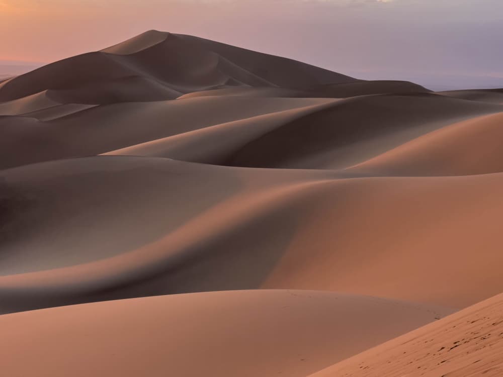 Golden Desert Curves by Ilana Lam — canvas wall art