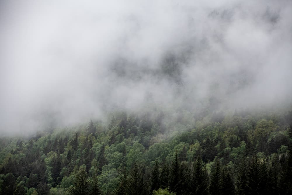 Somewhere In Norway 5