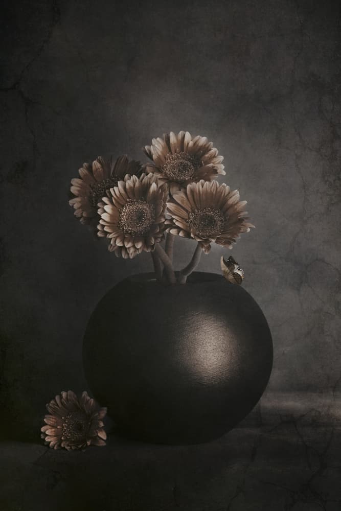 Dark Flowers with Frog by Cicek Kiral — canvas wall art