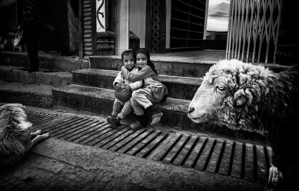 Happy Girls and Sheep by Joxe Inazio Kuesta Garmendia — canvas wall art