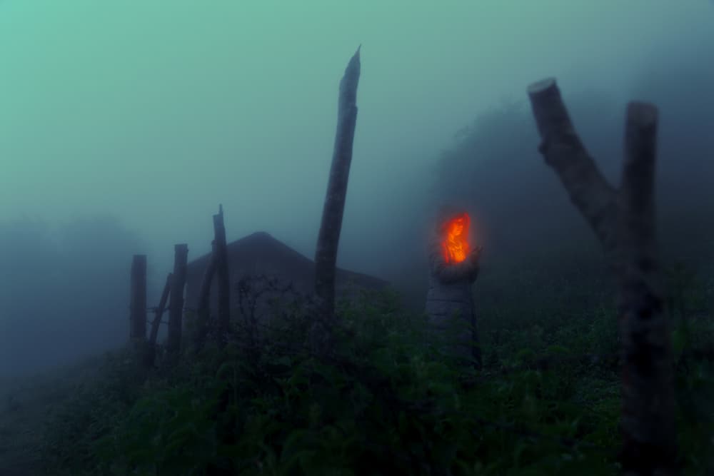 Flame in Misty Night by Morteza ghanbari — canvas wall art