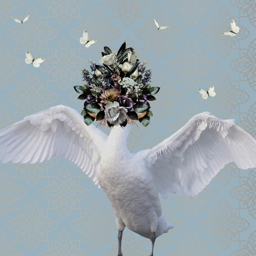 Graceful Floral Swan by Sue Skellern — canvas wall art