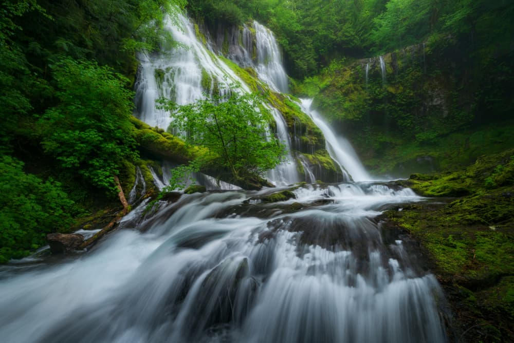 Lush Forest Waterfall by Gerald Macua — canvas wall art