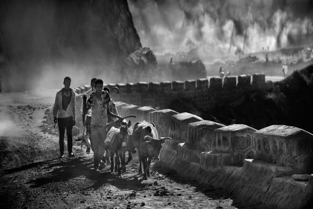 Dusty Rural Journey by Giovanni Cavalli — canvas wall art