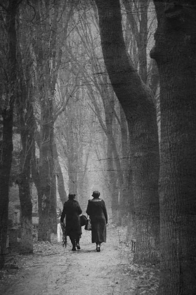 Vintage Tree Lined Path by Nicoleta Gabor — canvas wall art