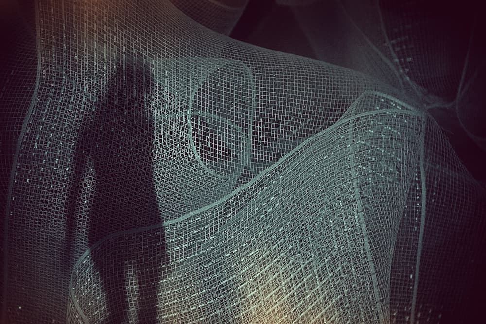 Mysterious Mesh Shadow by Roxana Labagnara — canvas wall art