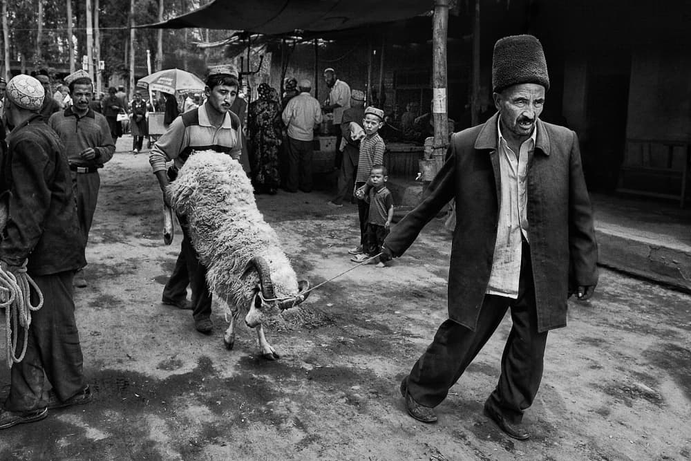 Market Day with Sheep by BJ Yang — canvas wall art