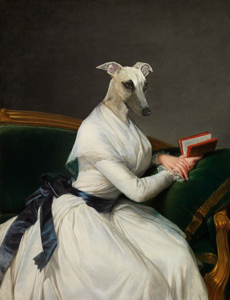 Elegant Whippet Reader by Florent Bodart — canvas wall art